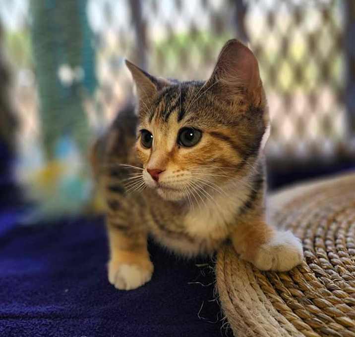 Photo of Hera