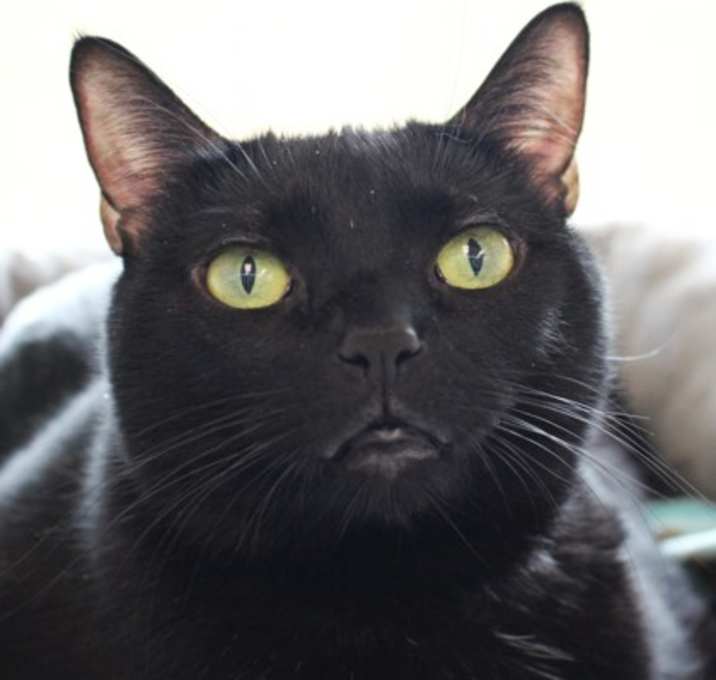 Photo of Ruby