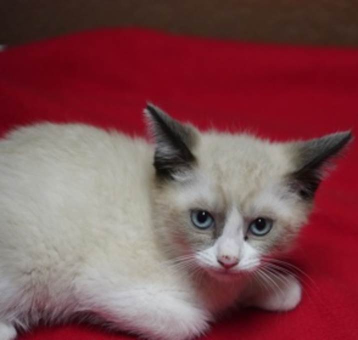 Photo of Azure