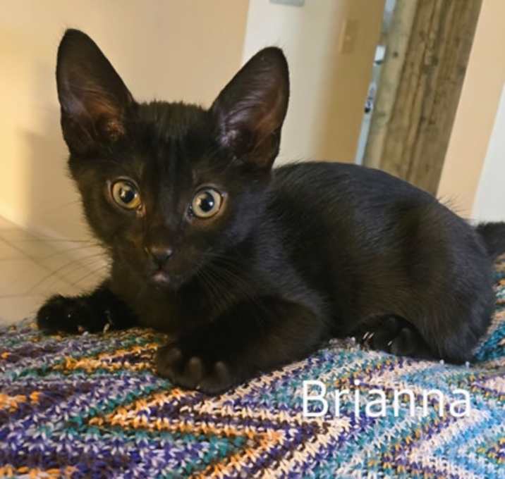Photo of Brianna