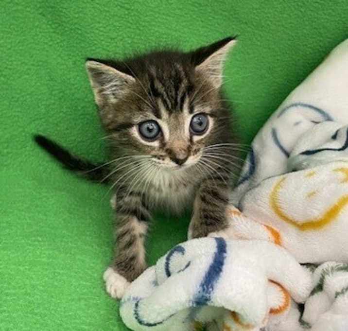 Photo of Evie