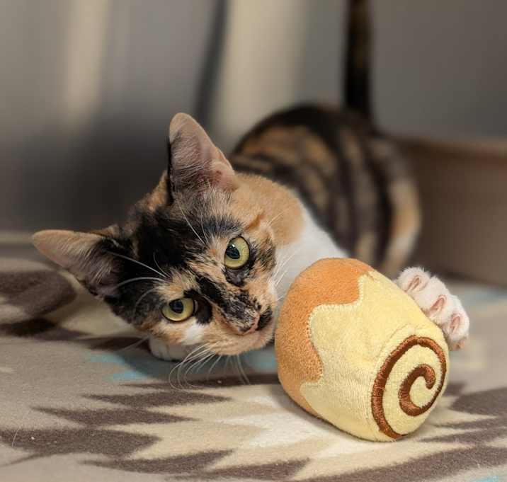 Photo of Cali