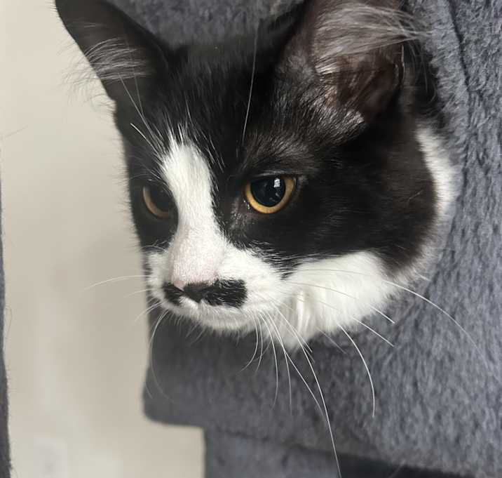 Photo of Stach