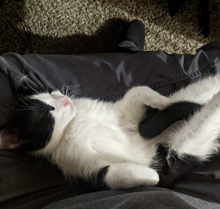 Photo of Mimzy