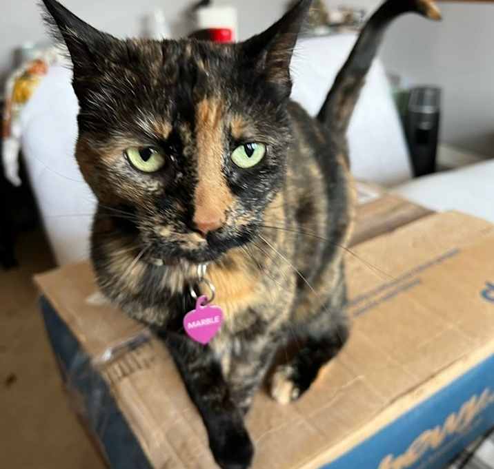 Photo of Marble