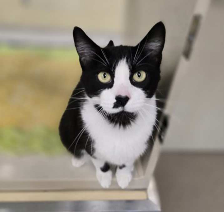Photo of Matilda