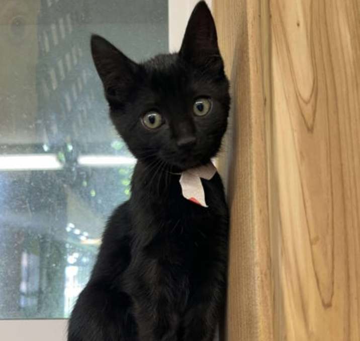 Photo of Lil