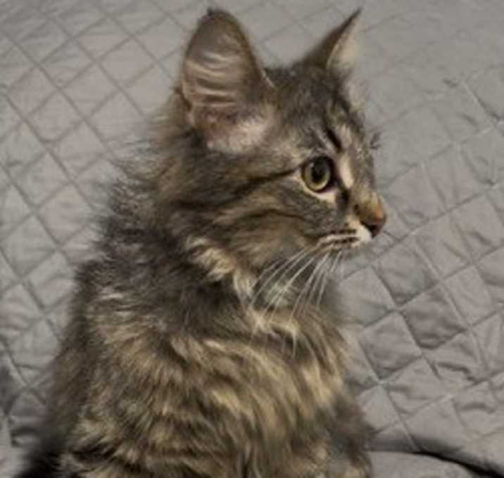 Photo of ELSIE