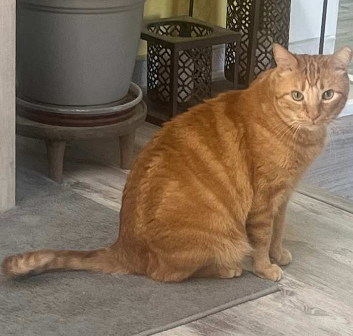 Photo of Gus