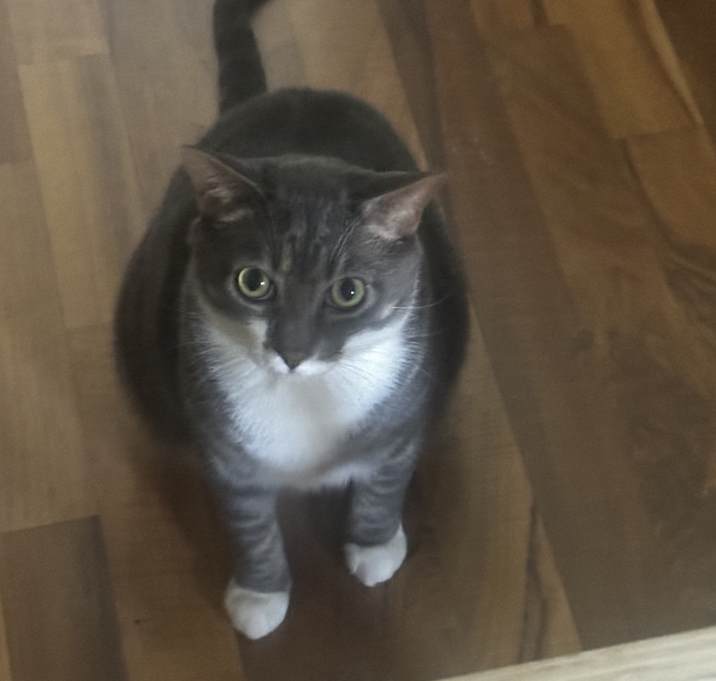 Photo of Monty