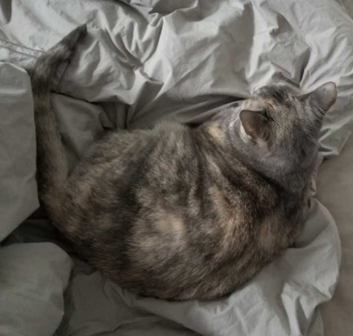Photo of Ciarra
