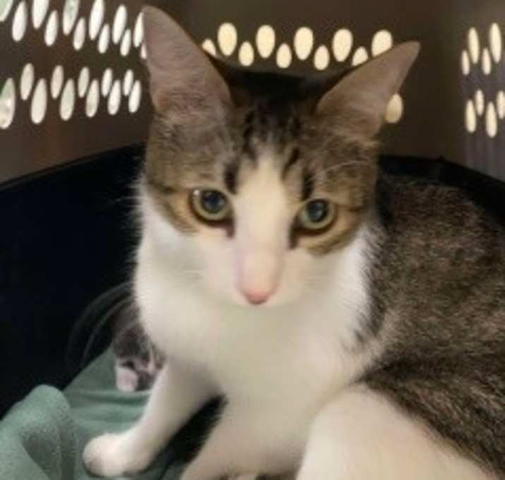 Photo of Sugar 124577