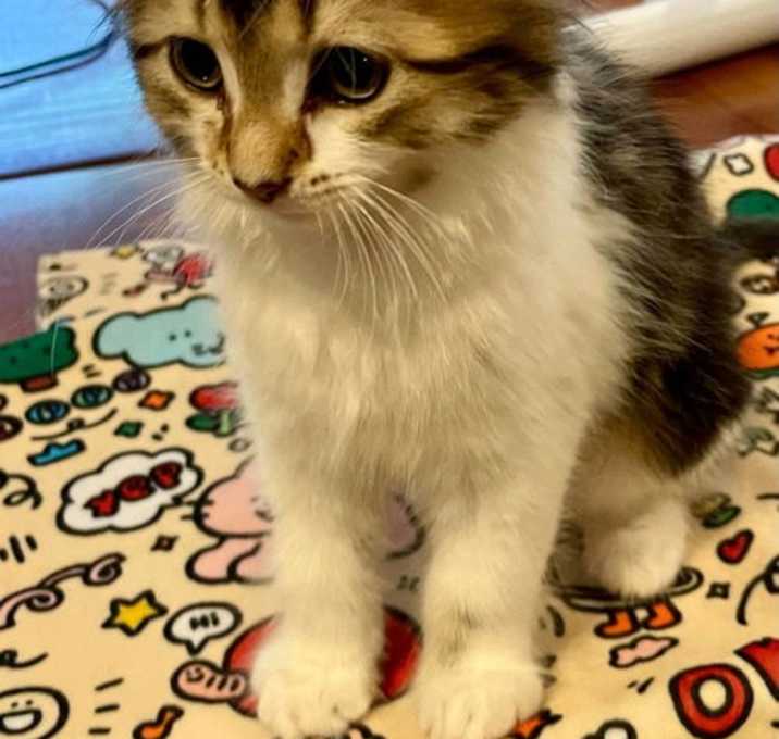 Photo of Tikeeta
