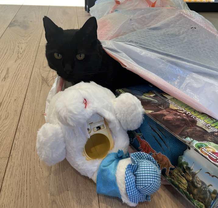 Photo of Zuzu