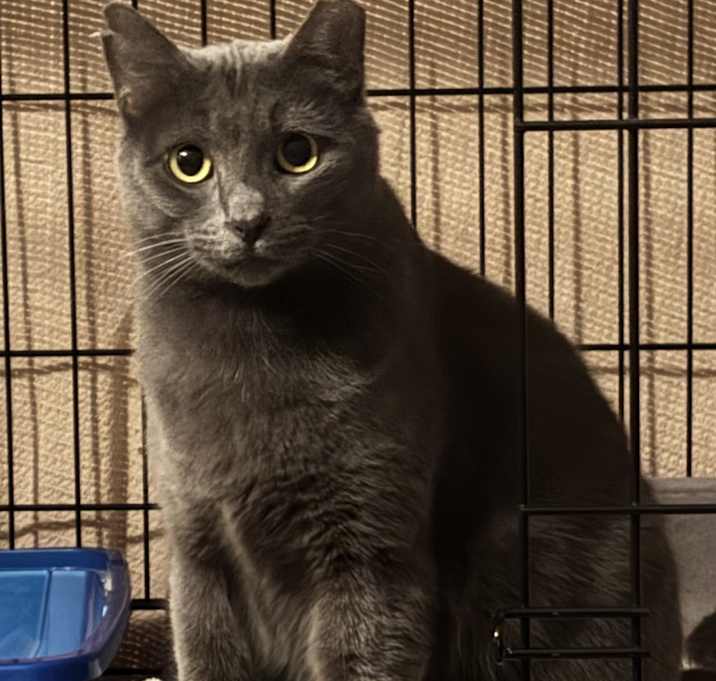 Photo of BONNIE