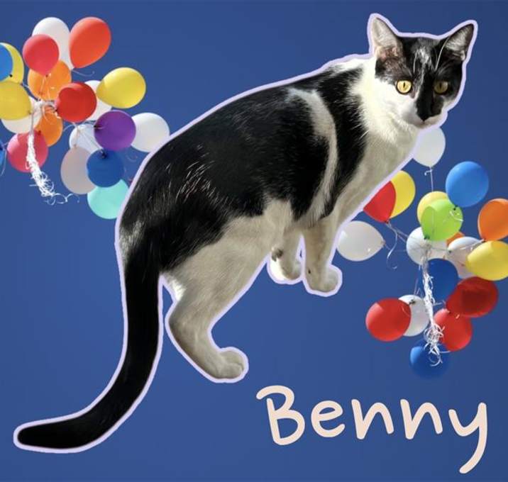 Photo of BENNY