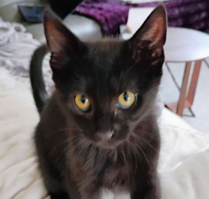 Photo of Niro