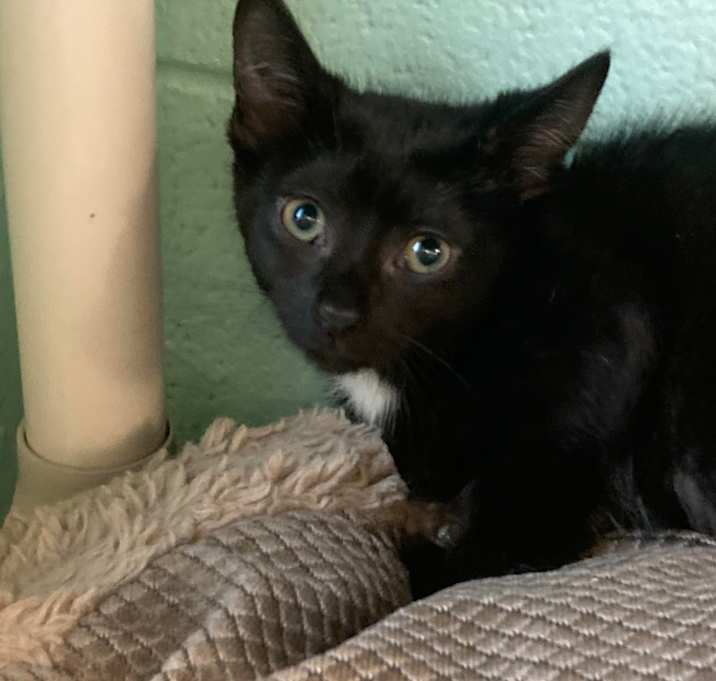 Photo of Jet