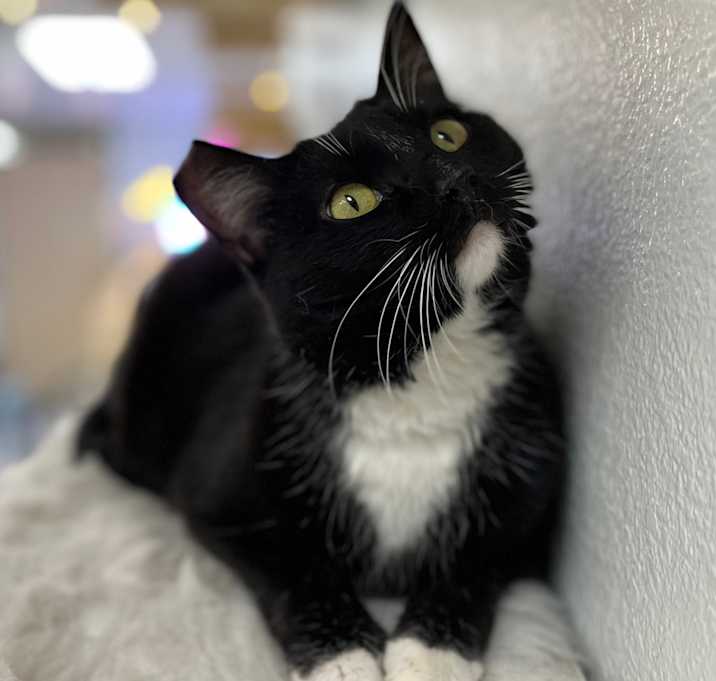 Photo of Bootsie