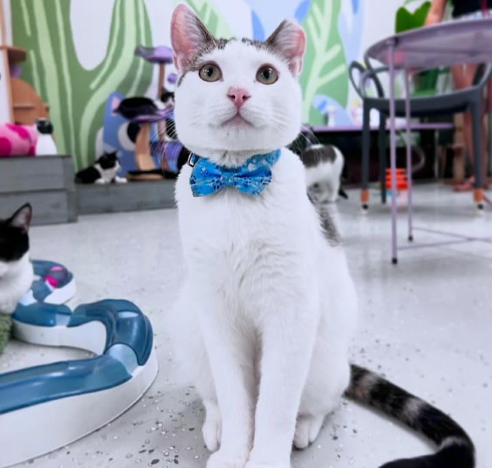 Photo of Alvin