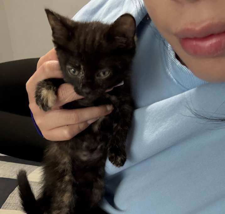 Photo of Luna