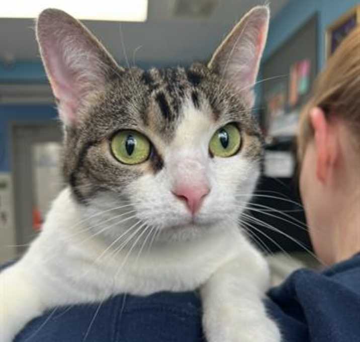 Photo of TABITHA