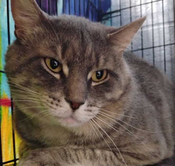 Photo of Sterling