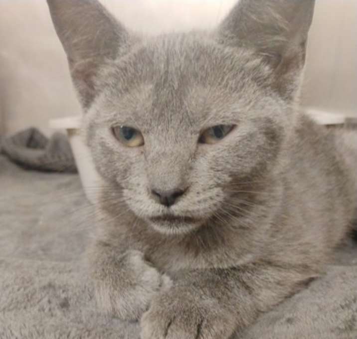 Photo of Fletcher