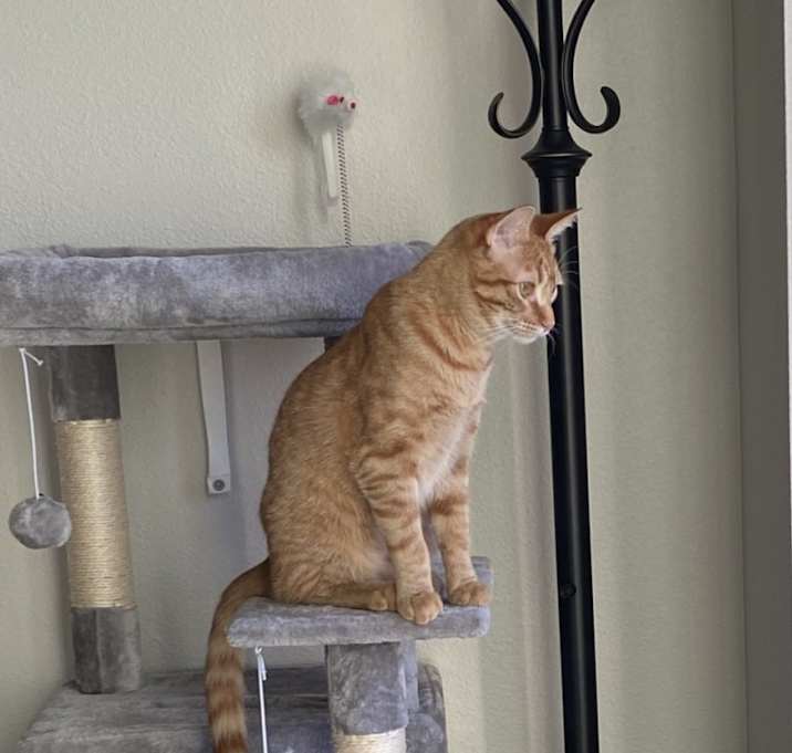 Photo of Jack