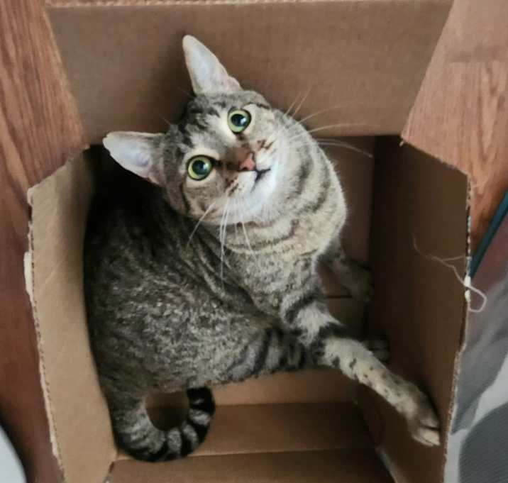 Photo of Sprinkles