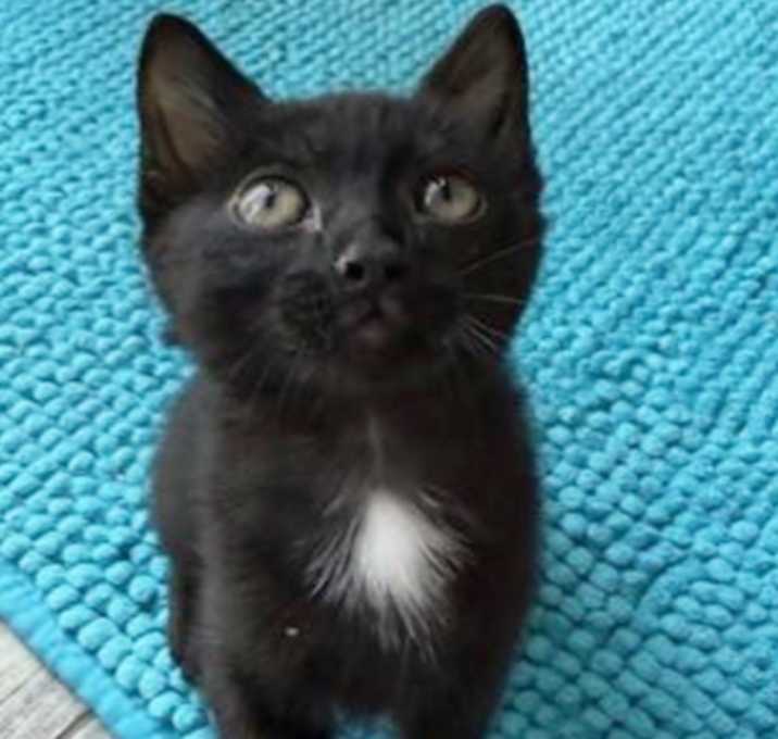 Photo of Olivia