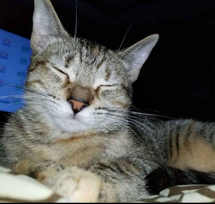 Photo of Blu