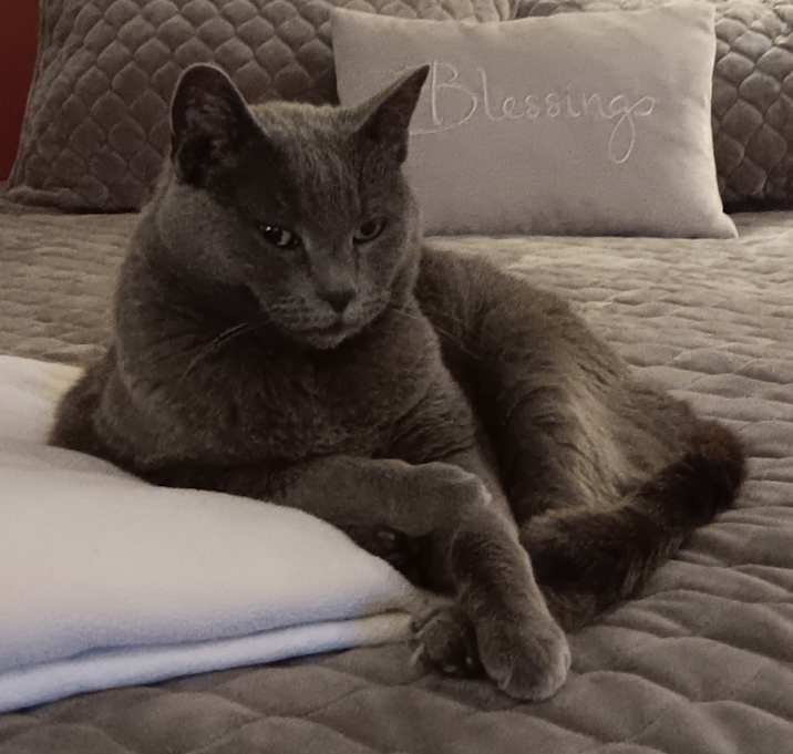 Photo of Sugar