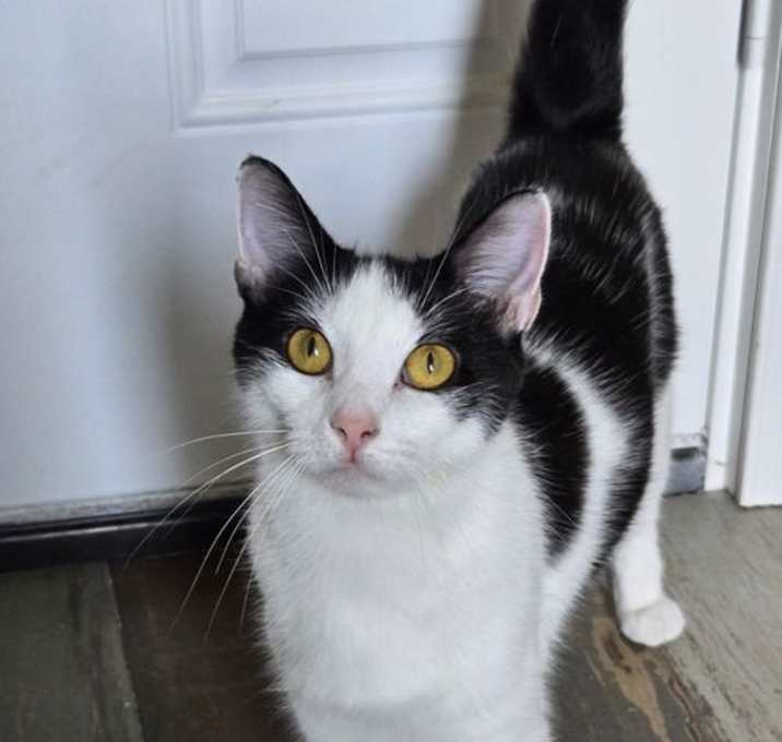 Photo of Nelli