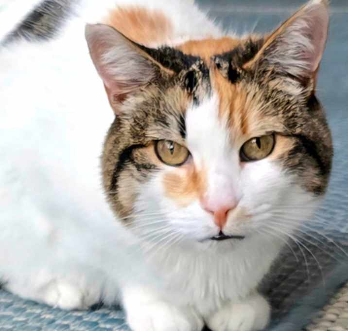 Photo of Chrissy
