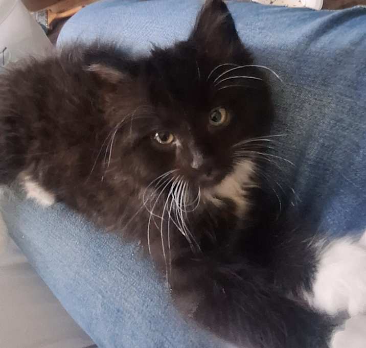 Photo of Boots