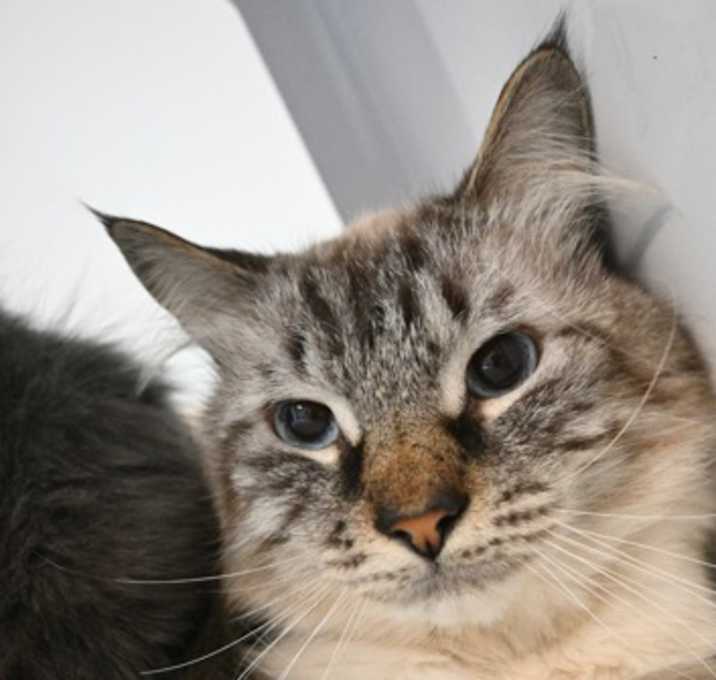 Photo of MIRASSOU