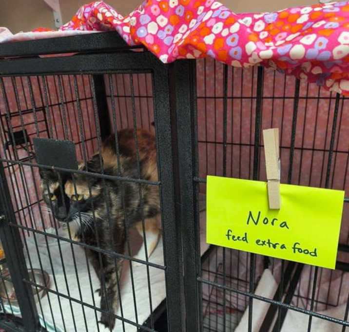 Photo of Nora