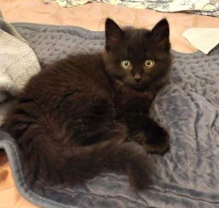 Photo of Fritz