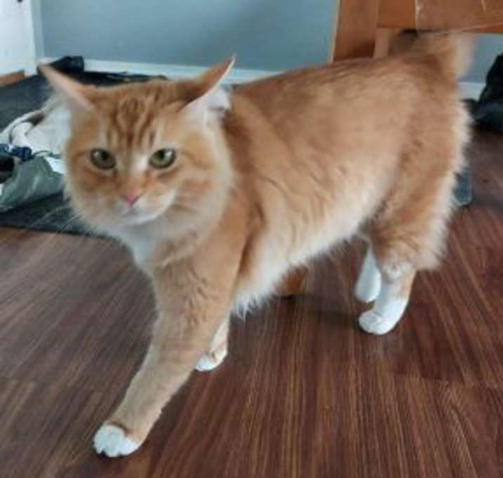 Photo of Cypress
