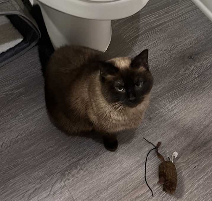 Photo of Nellie