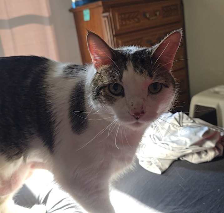 Photo of Tucker