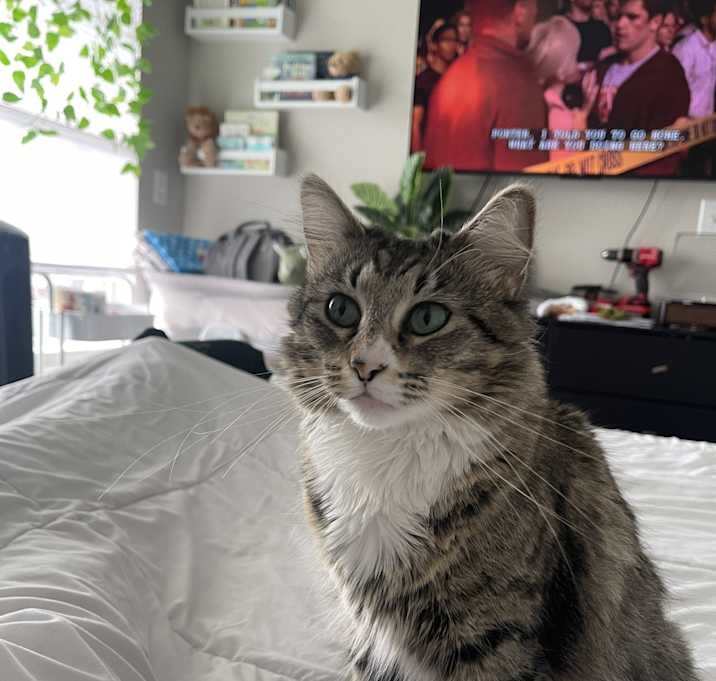 Photo of Cleo