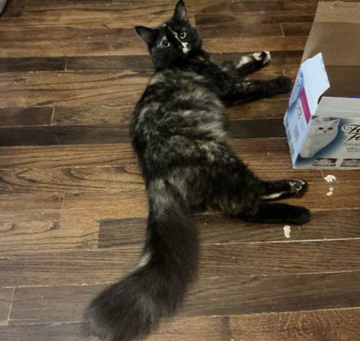 Photo of Sophie