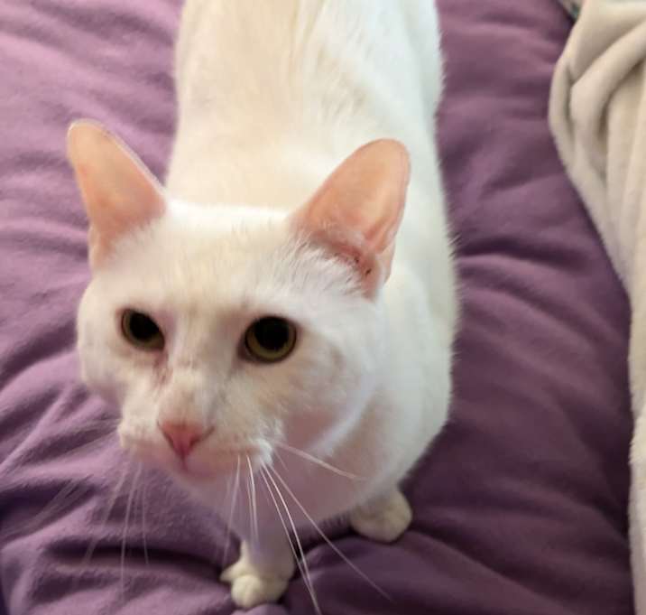 Photo of Buster