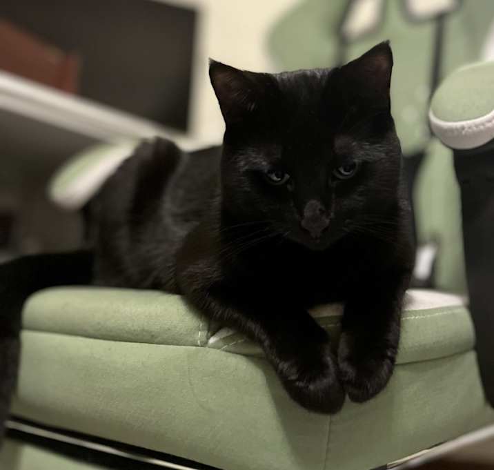 Photo of Balerion