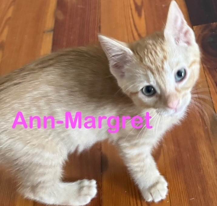 Photo of Ann-Margret