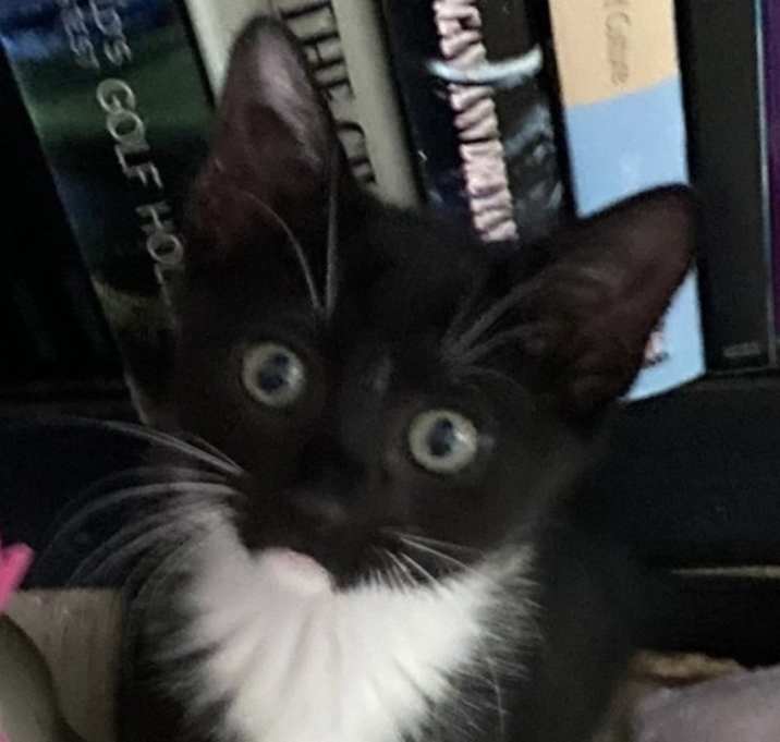 Photo of Flynn