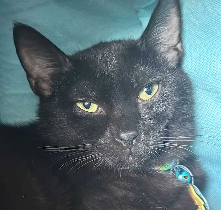 Photo of Desmond