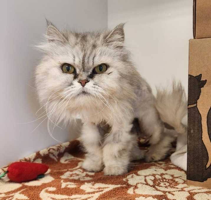 Photo of 76 Sooky